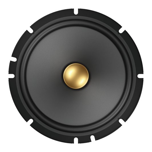 Pioneer TS-A1601C