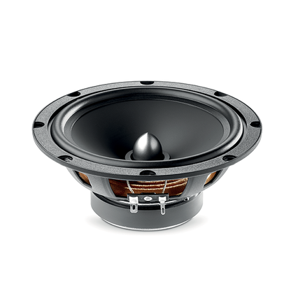 Focal ASE165