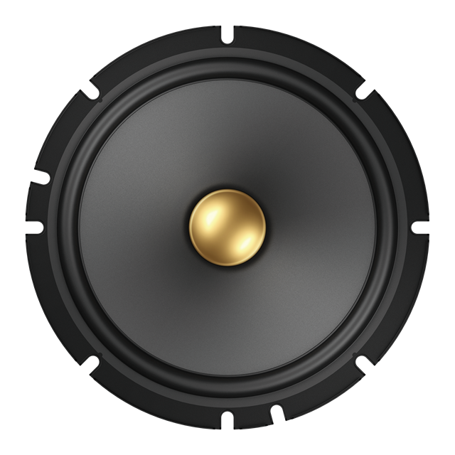 Pioneer TS-A1601C